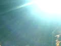 5.12.07 hallenstadion
die �rzte & steriogram - back in black