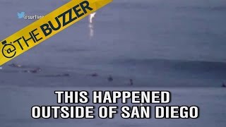 A great white shark jumped out of the ocean near some surfers and it scared us to death by @The Buzzer