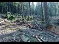Material-de-campanie