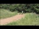 KX450F