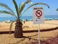 Summer in Quarteira, Algarve is fantastic life