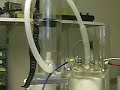 Hydrogen Tap (FOCUS-output) 307 Hydrogen Tap (FOCUS-output) 307