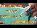 2019年8月17日　小田原早川港　坂口丸　エビング　カツオ・キハダ