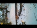 Click here to watch this video Louie's First Snowfall