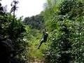 Jamaican-Zip-line-Li