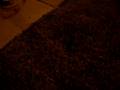 videos de taggin ridge view up pt 6