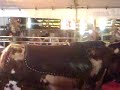 bull kicks stacey's ass
