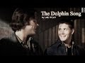 The Dolphin Song (J2)