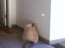 Fantine e o reflexo...