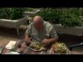 Murray Hallams Practical Aquaponics