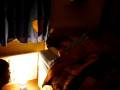 videos de angus's mental dreams