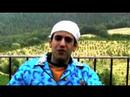 Dario F� 4 the Purple Butterflies