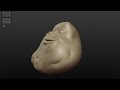 Just a little doodle while experimenting with Sculptris today. It's fun, easy to use and best of all, it's FREE!