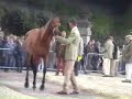 zara phillips and william fox-pitt at the first horse inspection before the 2008 badminton horse trials got underway
