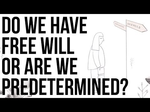 Do We Have Free Will or Are We Predetermined?