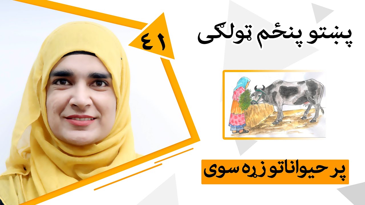Class 5 - Pashto | Title Love animals - Lesson 41