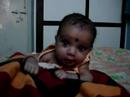 Samiksha
