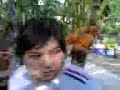 lop 12a13