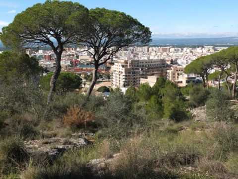 Alzira