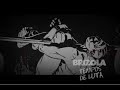 Clip Brizola