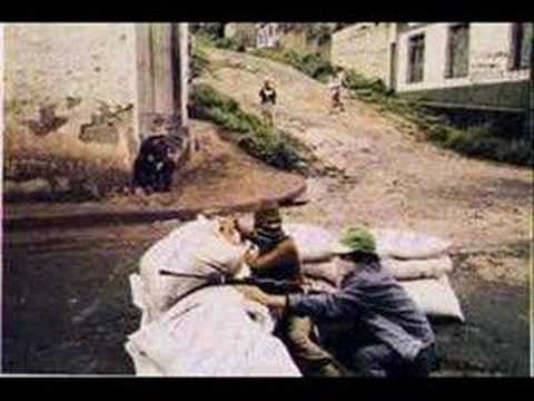 Zobacz film