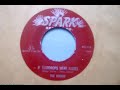 the robins cut some great records for lieber and stoller's spark before mutating into the coasters. this is their only ballad on the label.