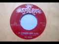 the robins cut some great records for lieber and stoller's spark before mutating into the coasters. this is their only ballad on the label.