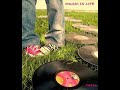 Daniel Steinberg-Viwa la Fiwa-Original mix