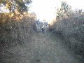 jackass chalmero