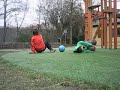 een swalbe maar egt een swalbe