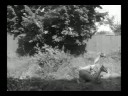 Parkour and Freeruning Sampler