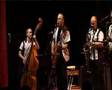 The Boogie W Kings-Boogie Woogie Country Girl