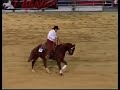 PAULO KOURY & TEXAS PLAYBOY(BRA) - REINING SHOW GERMANY