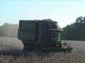 South Georiga Cotton Farming 2006