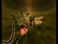 videos de Gwladys - Nothing is infinity