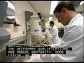 Dental Laboratory Technicians CareerSearch.com