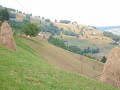 Apuseni,zona Vartop