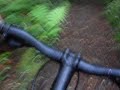 Riding on Tree Trunk Gorge Riding on Tree Trunk Gorge