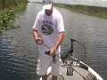 Florida Everglades Topwater Bass Fishing Vol.1