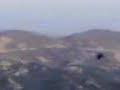 Acrobazie in volo del Corvo Imperiale