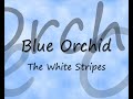 Blue Orchid - White Stripes (Saison 1 Épisode 2)