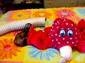 GIANT OCTOPUS ATTACKS! (part 1)
