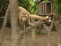 The Travel Guys visit Thailand The Travel Guys visit Thailand