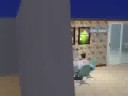 the sims2 70s show the sims2 70s show