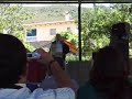 CARRETE GUERRILLERO REPUBLICANO EN LAS VILLUERCAS