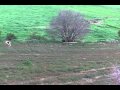 (uploaded by pix0r)&nbsp;Falcon RC + Camera DealExtreme SKU 20630