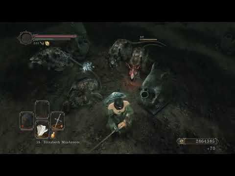 SL1 Royal Rat Vanguard, Dark Souls 2: SotFS