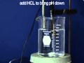 Buffers and pH Meter | MIT Digital Lab Techniques Manual