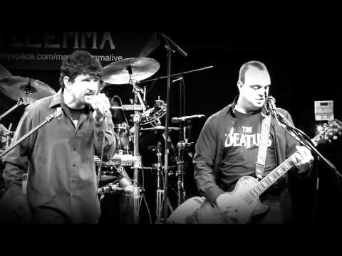 Massachusetts Mail Man - Moral Dilemma Live at The Cannery in Southbridge MA on 11/17/2012.