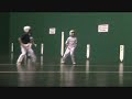 ALEVIN.wmv